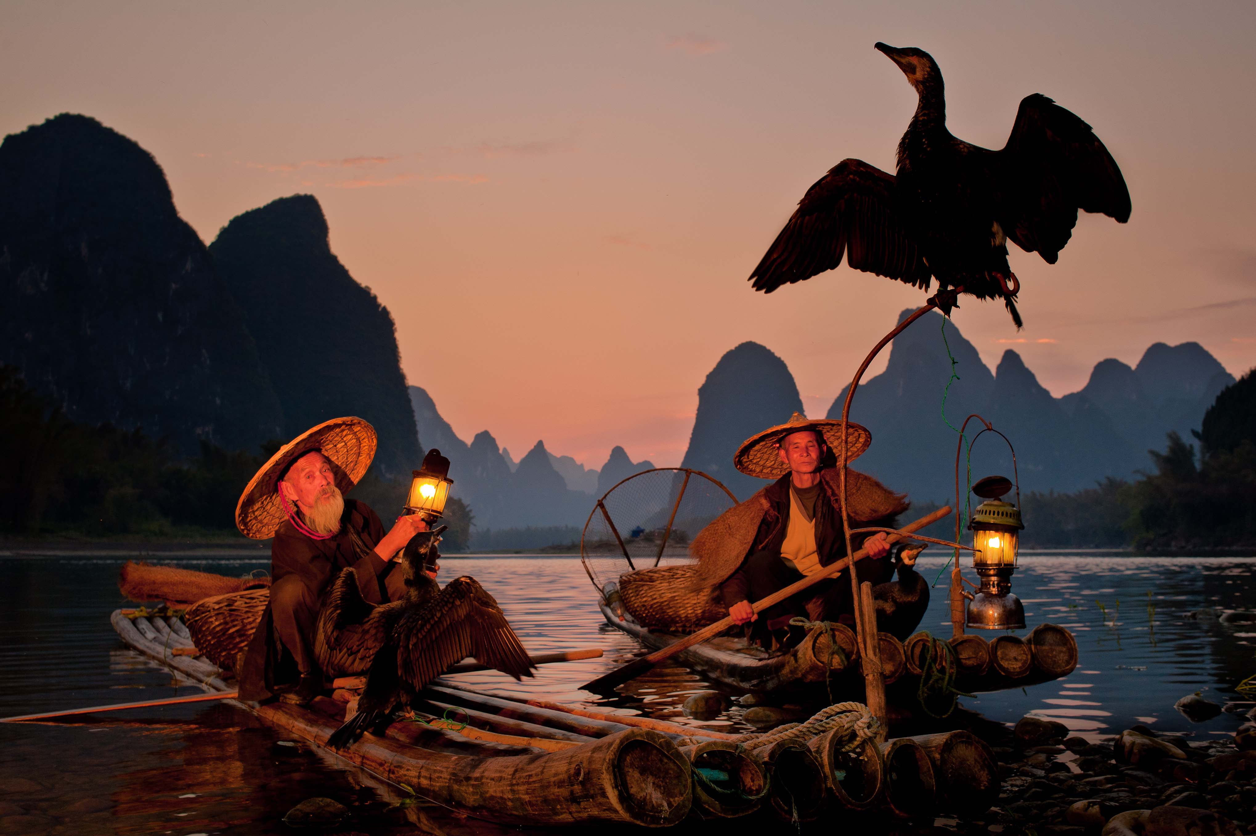Image result for Cormorant Fishing China Photos
