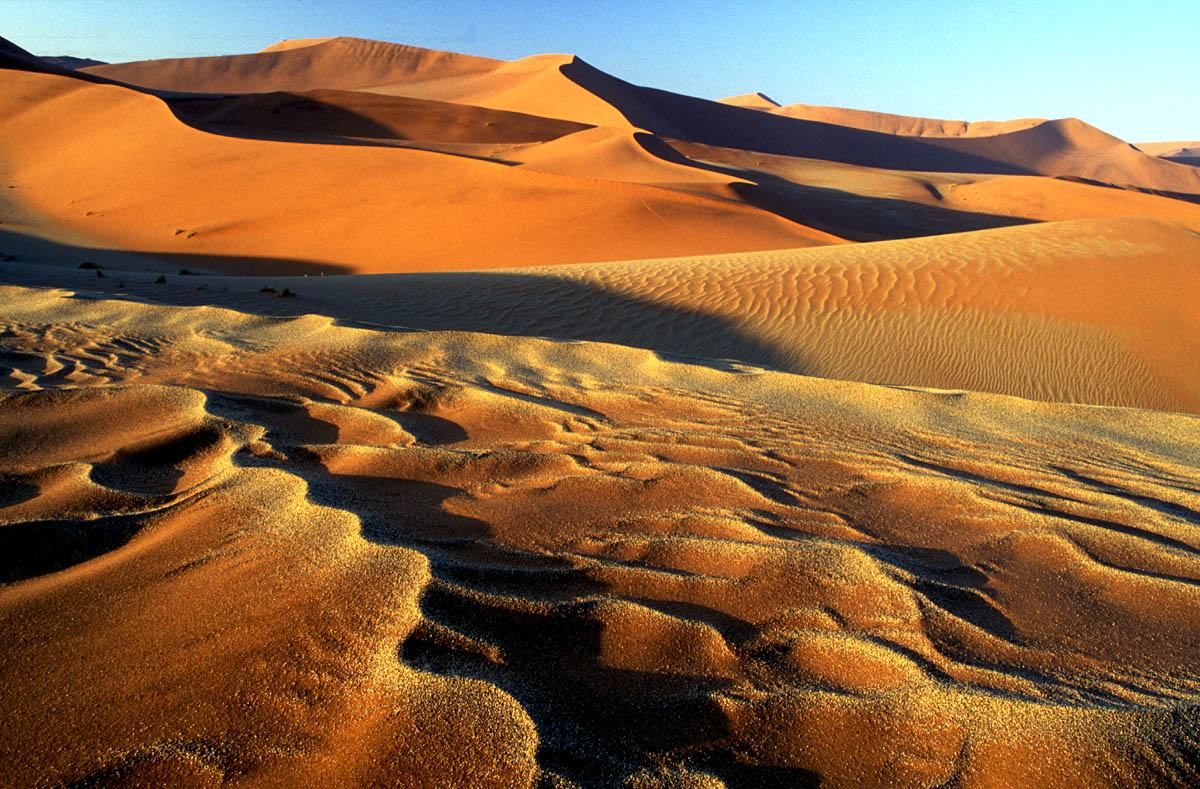 Самая сухая пустыня в африке. Намибия пустыня Калахари. Песчаные дюны Калахари. Намиб пустыни Африки. Пустыня Намиб территория.